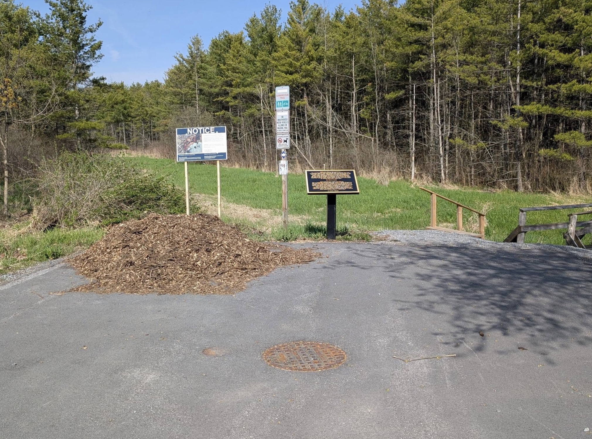 McLean Memorial Forest trail update photo 1
