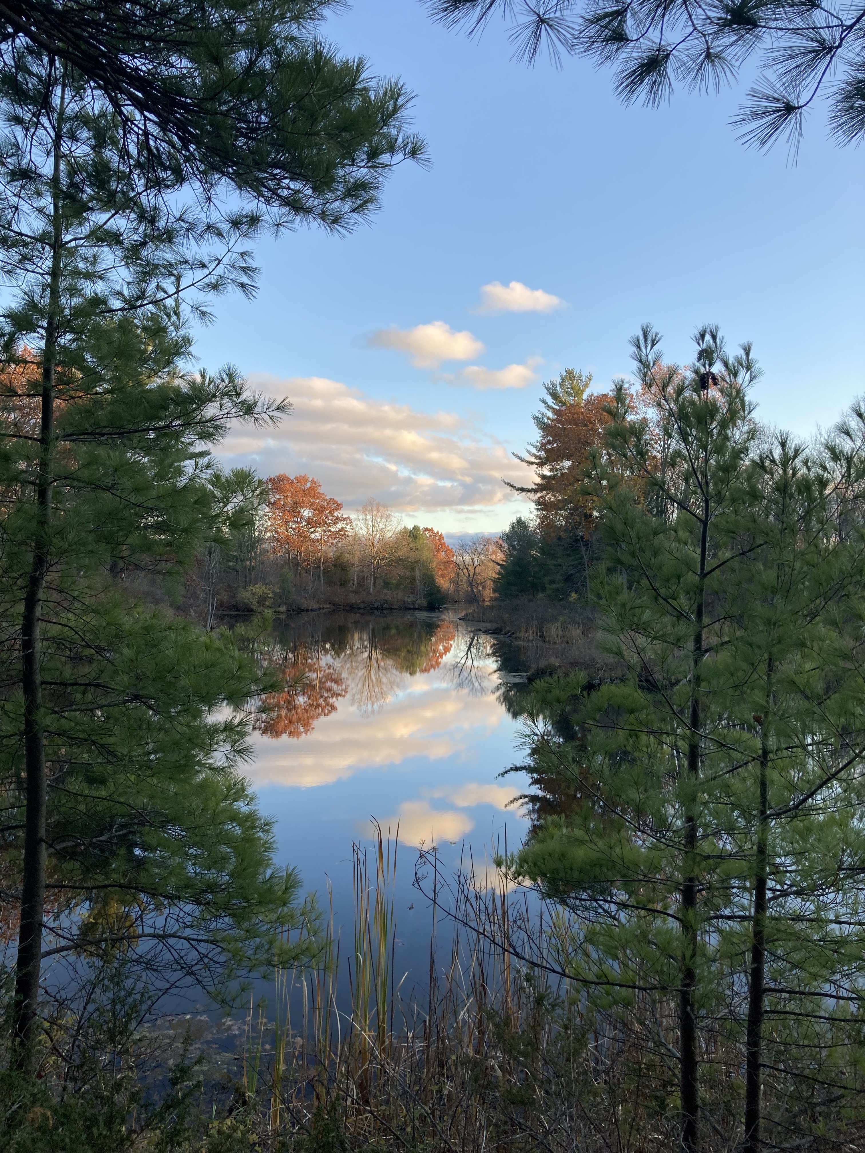 The Narrows Loop trail, Gananoque