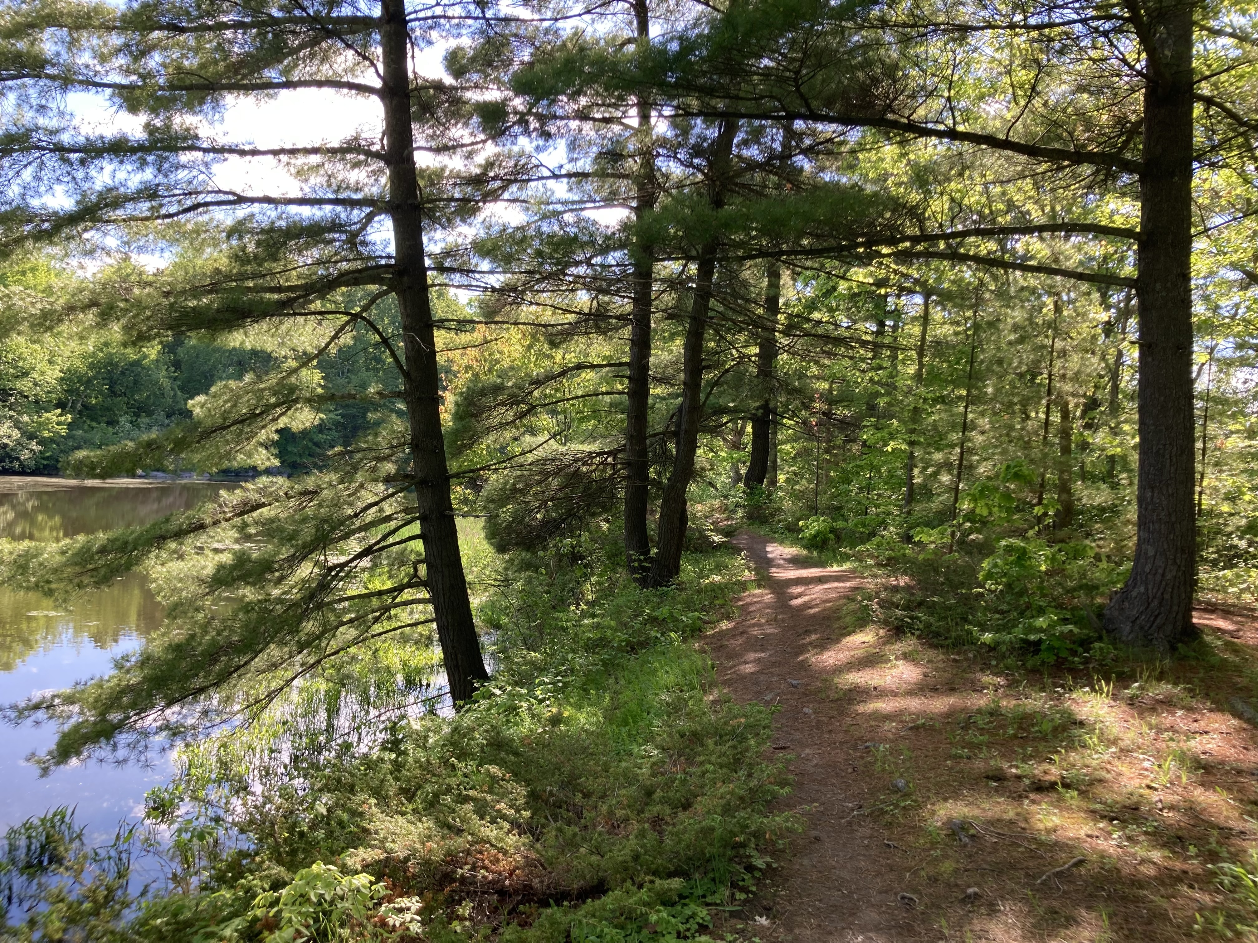 The Narrows Loop trail, Gananoque